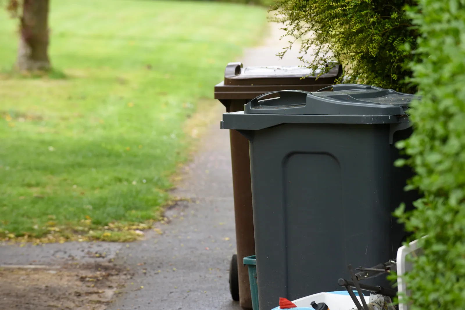 Wheelie bins lined up on a path awaiting collection